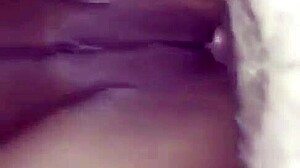 Amadora latina leva anal enorme com buceta peluda