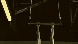 Top twintig vintage swingers in mijn geheime leven